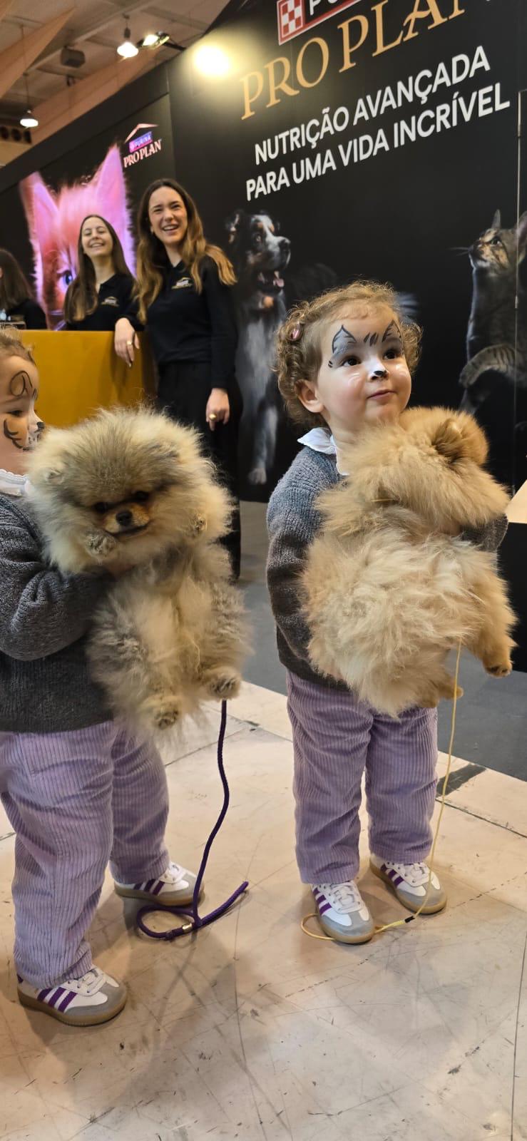 Exposição canina