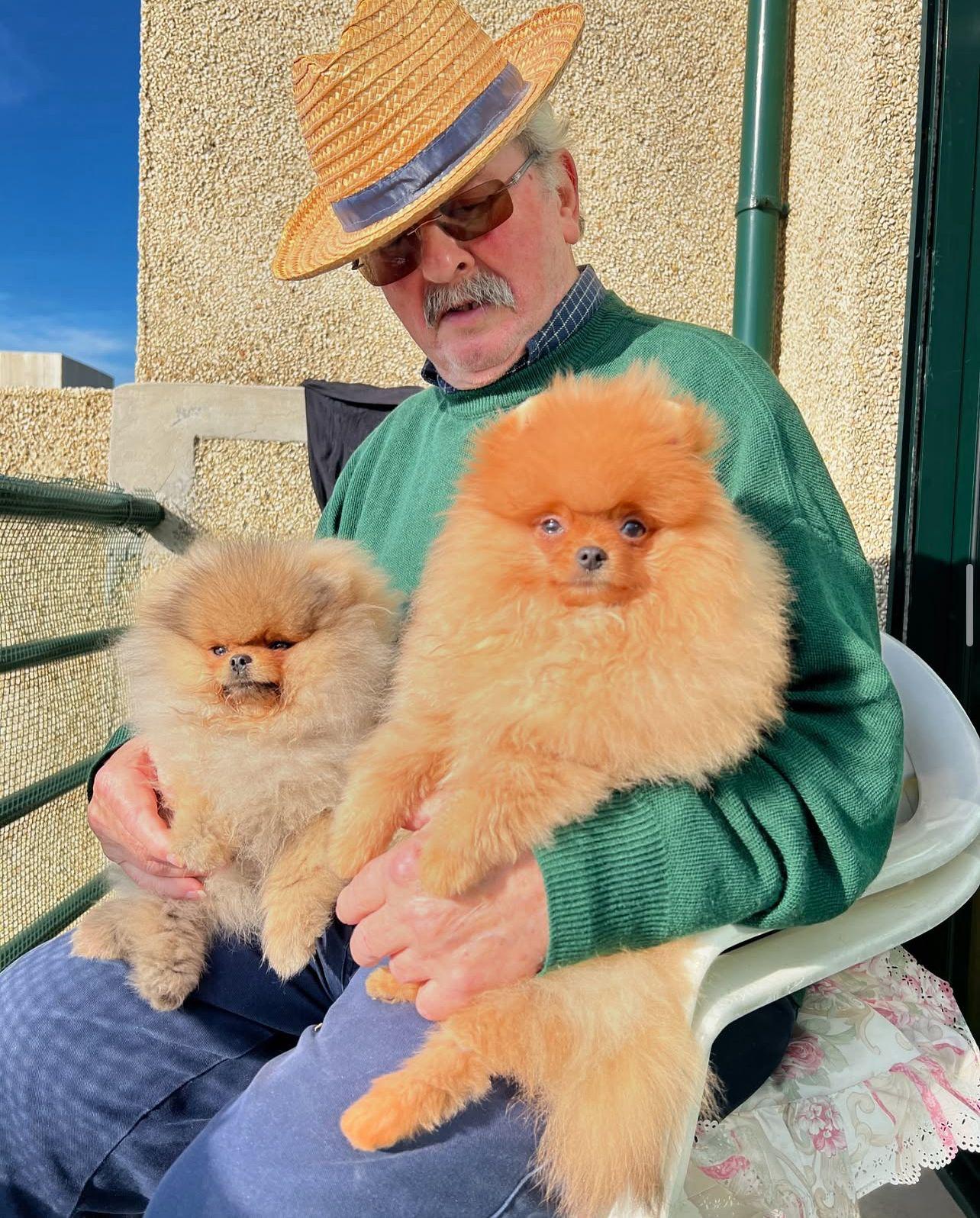 Família com Spitz