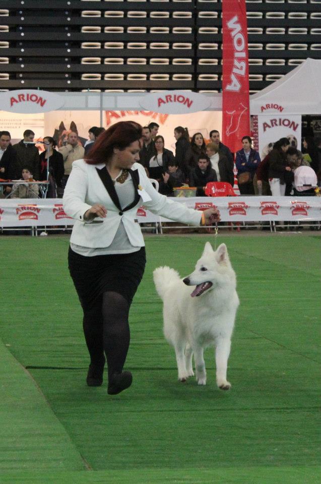 Handler